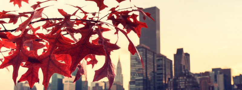 Murray Believes He?ll Win The Monte Carlo Tournament