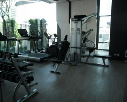 PYNE by Sansiri  (1bed) 30000 THB Luxurious