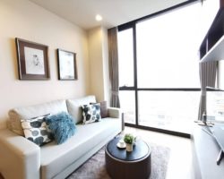 (234)The Line Sukhumvit 71เดอะ ไลน์ สุขุมวิท71 for rent 2ห้องน้ำ 2ห้องน้ำ 61ตรม Calling 0896601552