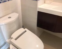 GDN256 คอนโด ไลฟ์ แอท สุขุมวิท65 Life@Sukhumvit 65 เช่า 1BR 17000บาท บีทีเอส-พระโขนง