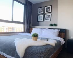 ให้เช่า Ideo สุขุมวิท93 (BTSบางจาก) 35 SQM. 1BED 16000/เดือน Fullเฟอร์นิเจอร์ รหัส DO-9IRSHG3