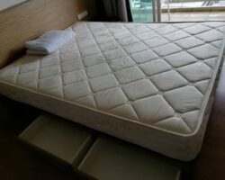 แกรนด์ พาร์ค วิว อโศก ราคา 16000 บาท/เดือน ว่าง 1 มิถุนายน 2568 สนใจเช่า รีบทักแชท ห้องปิดไวมาก! ID244U-21