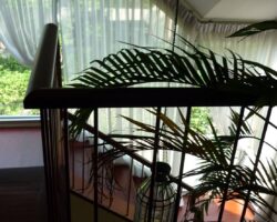 House For Rent มีสระว่ายน้ำ ราคาเช่า 150,000 baht เพชรบุรี ซอยศูนย์วิจัย1 (พูลวิลล่า กรุงเทพ) REF NO. AG1211U199